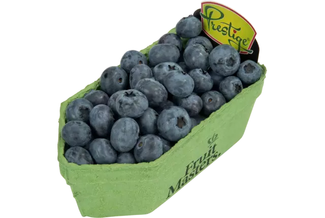 Blauwe bessen Prestige 150gr kist 12 stuks